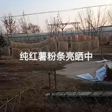 纯红薯粉条