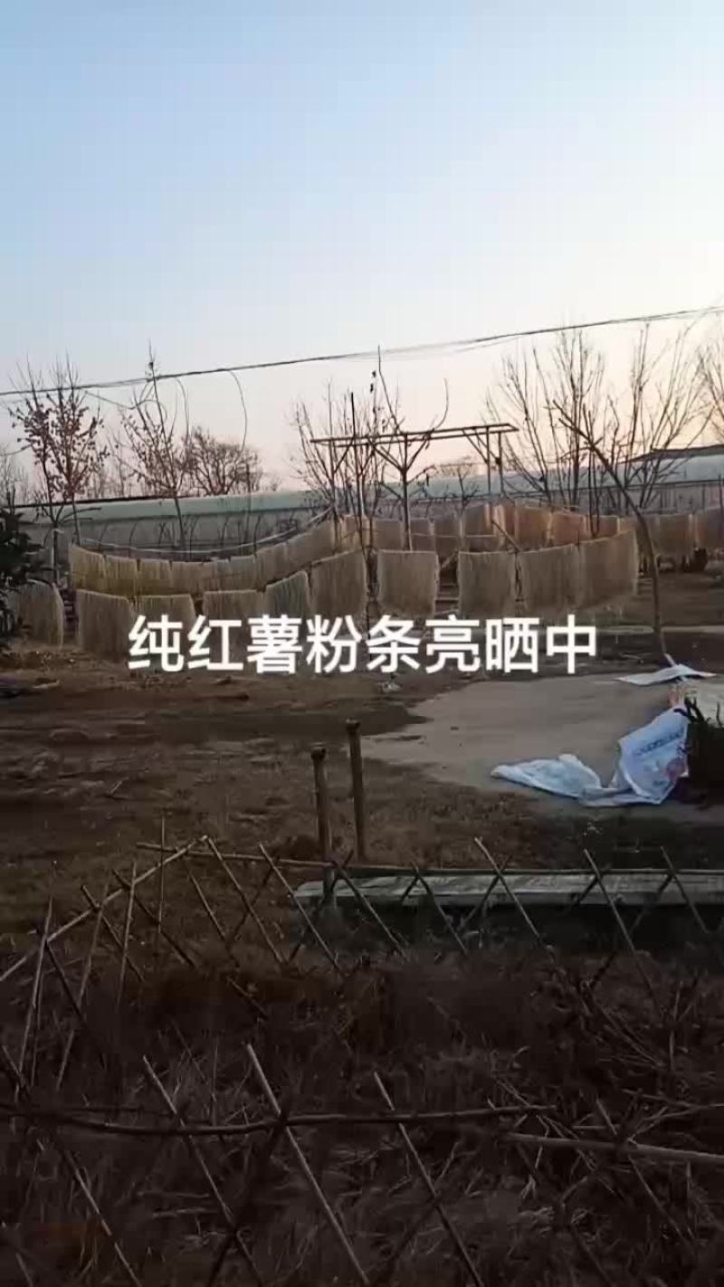 纯红薯粉条