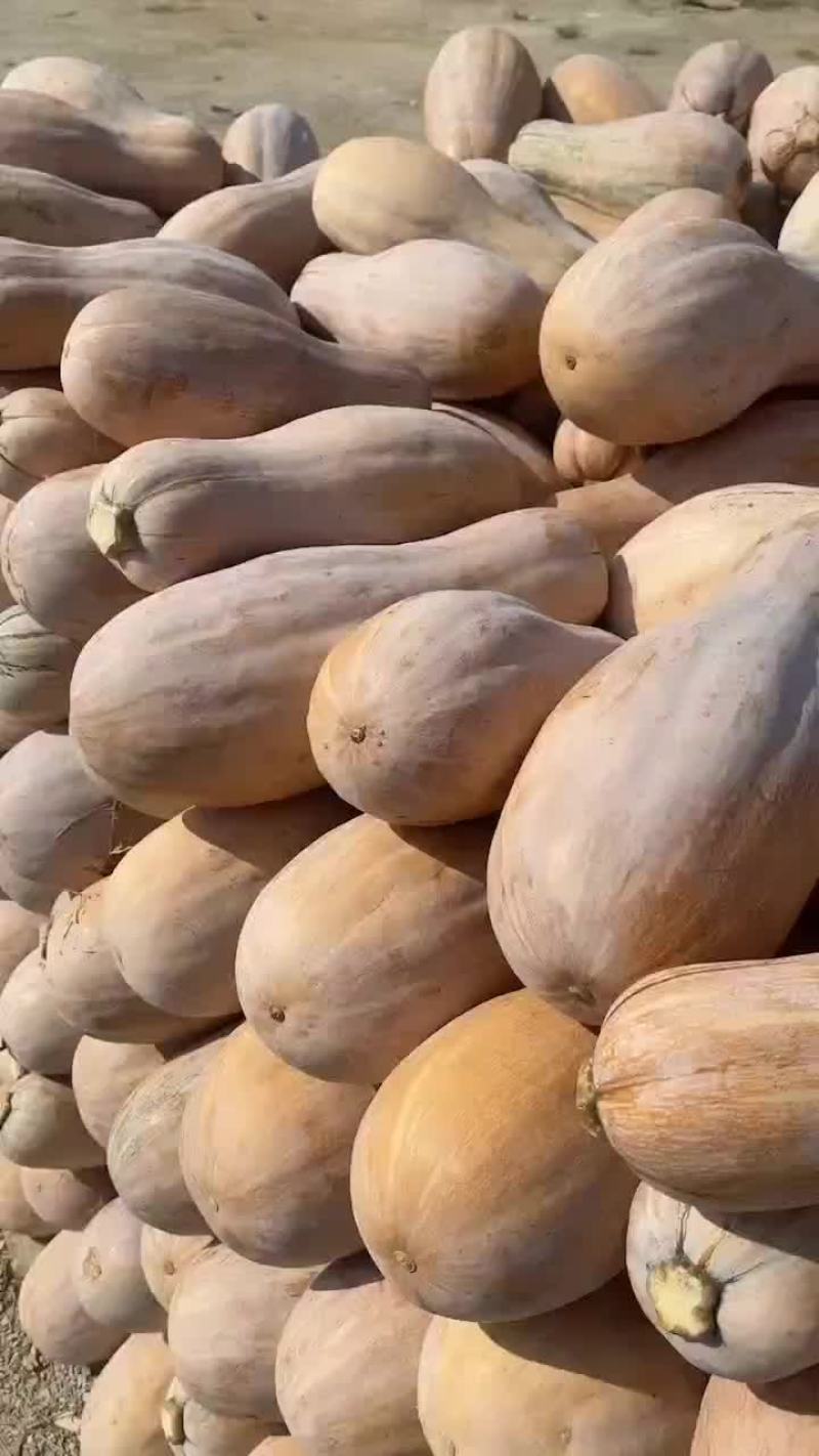 南瓜