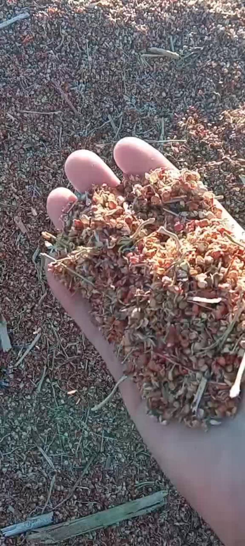 牛羊草料，高粱壳！