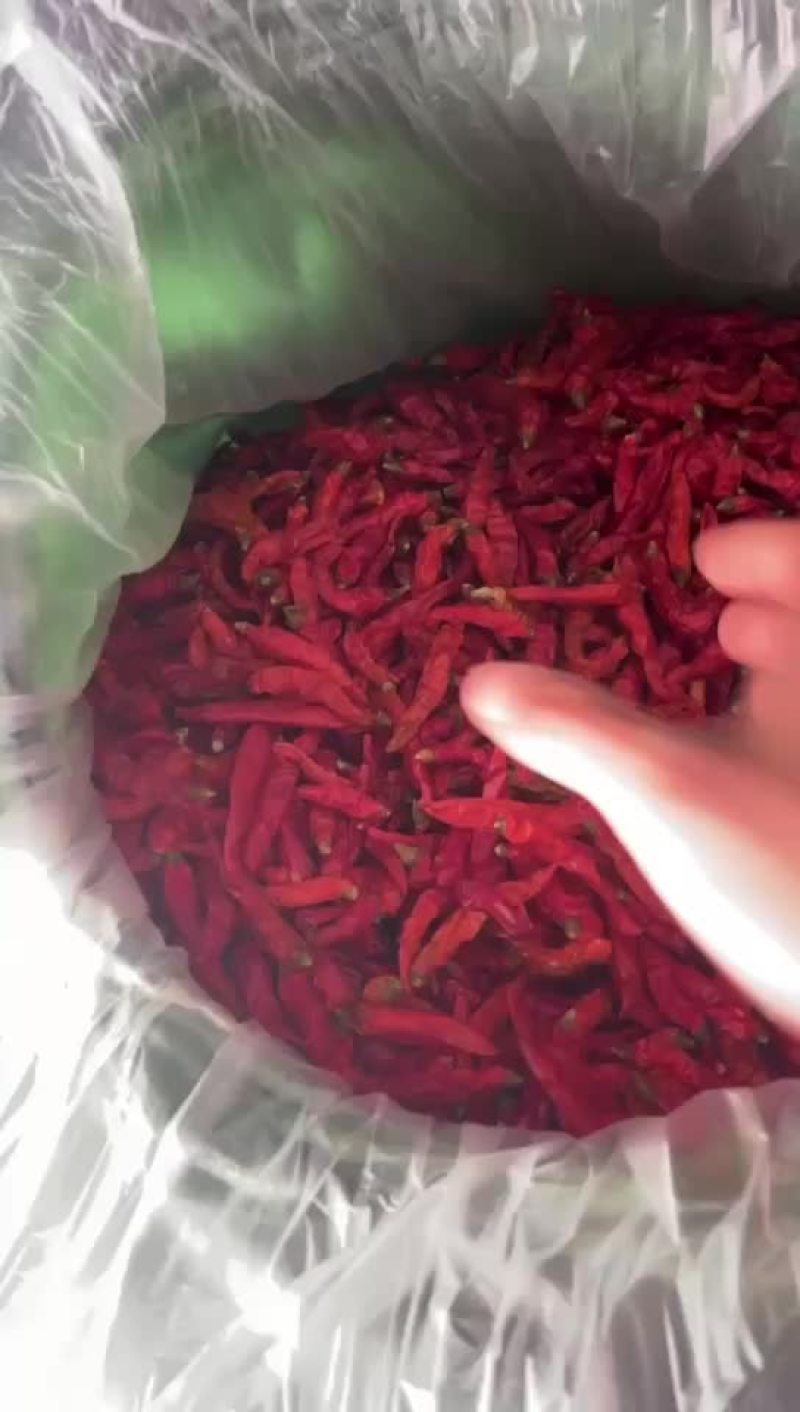 云南艳红干辣椒