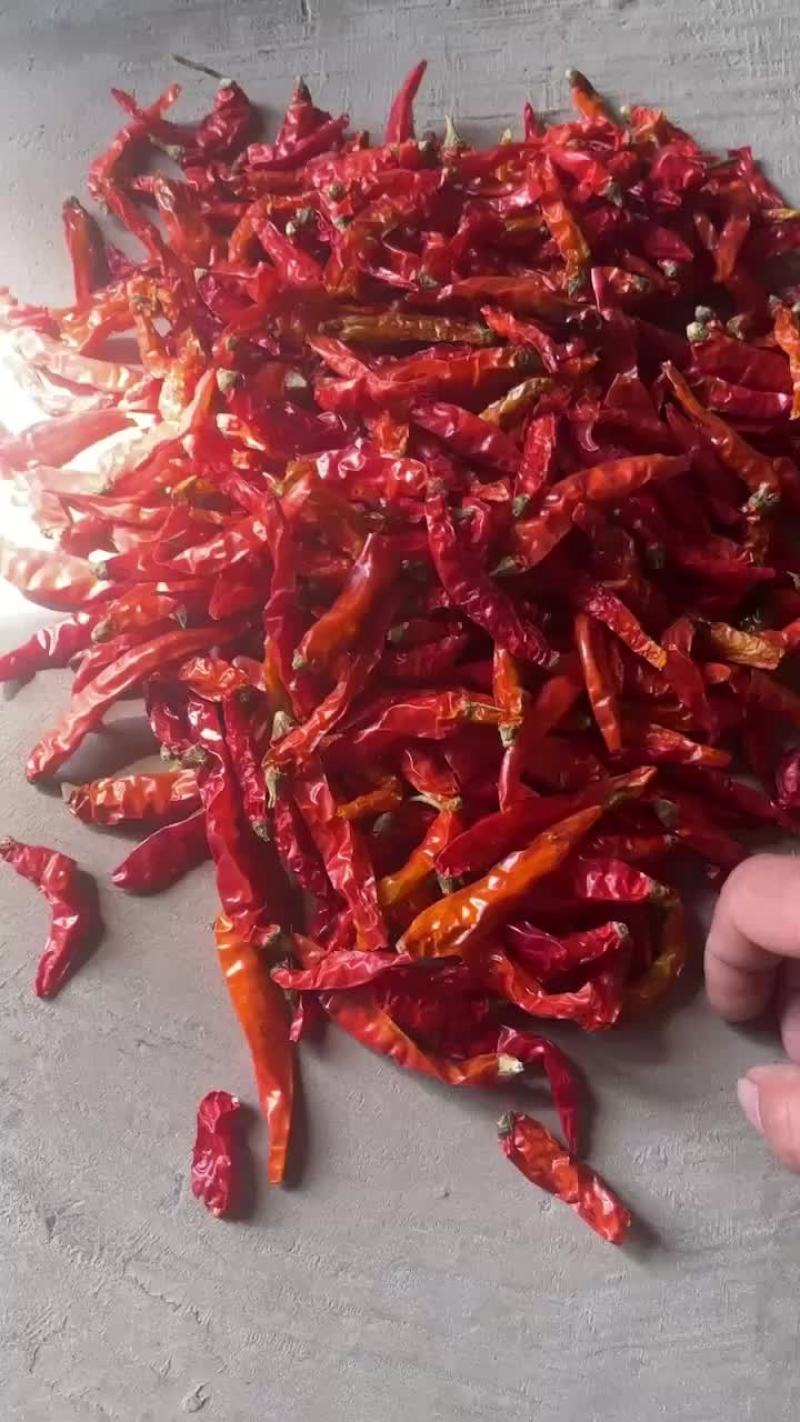 云南艳红干辣椒