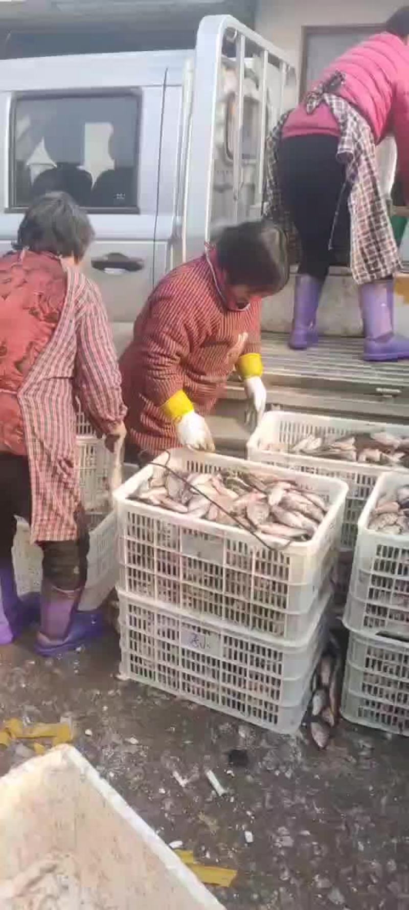 大量批发