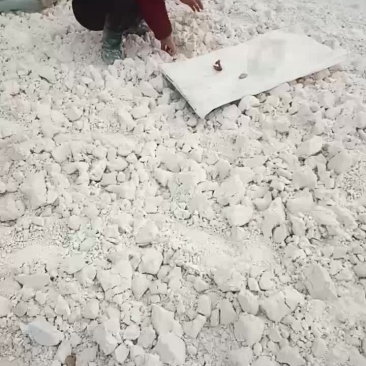 精品粉面