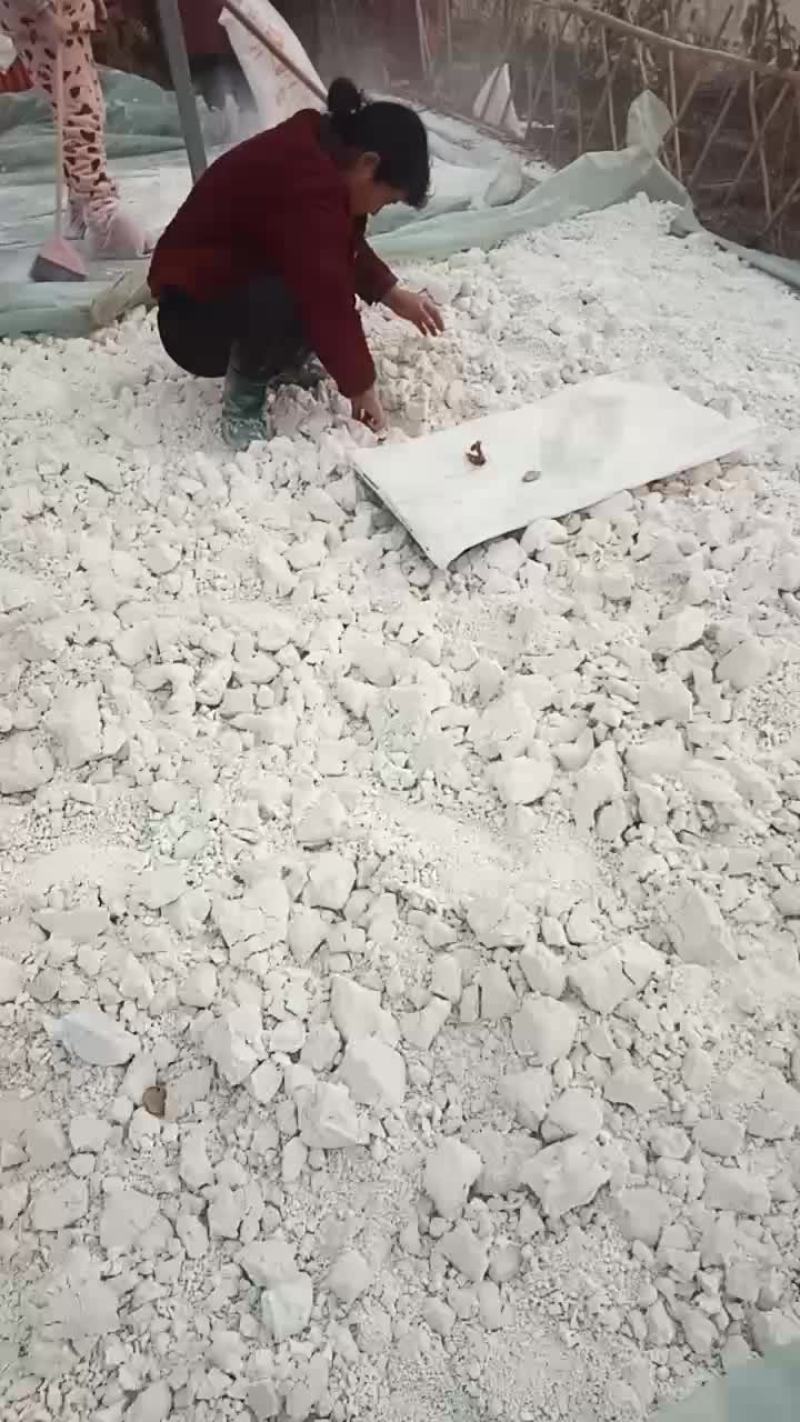 精品粉面