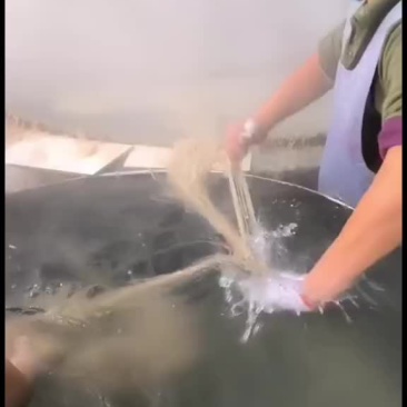 传统工艺，手工粉条，干净卫生，劲道十足，量大从优