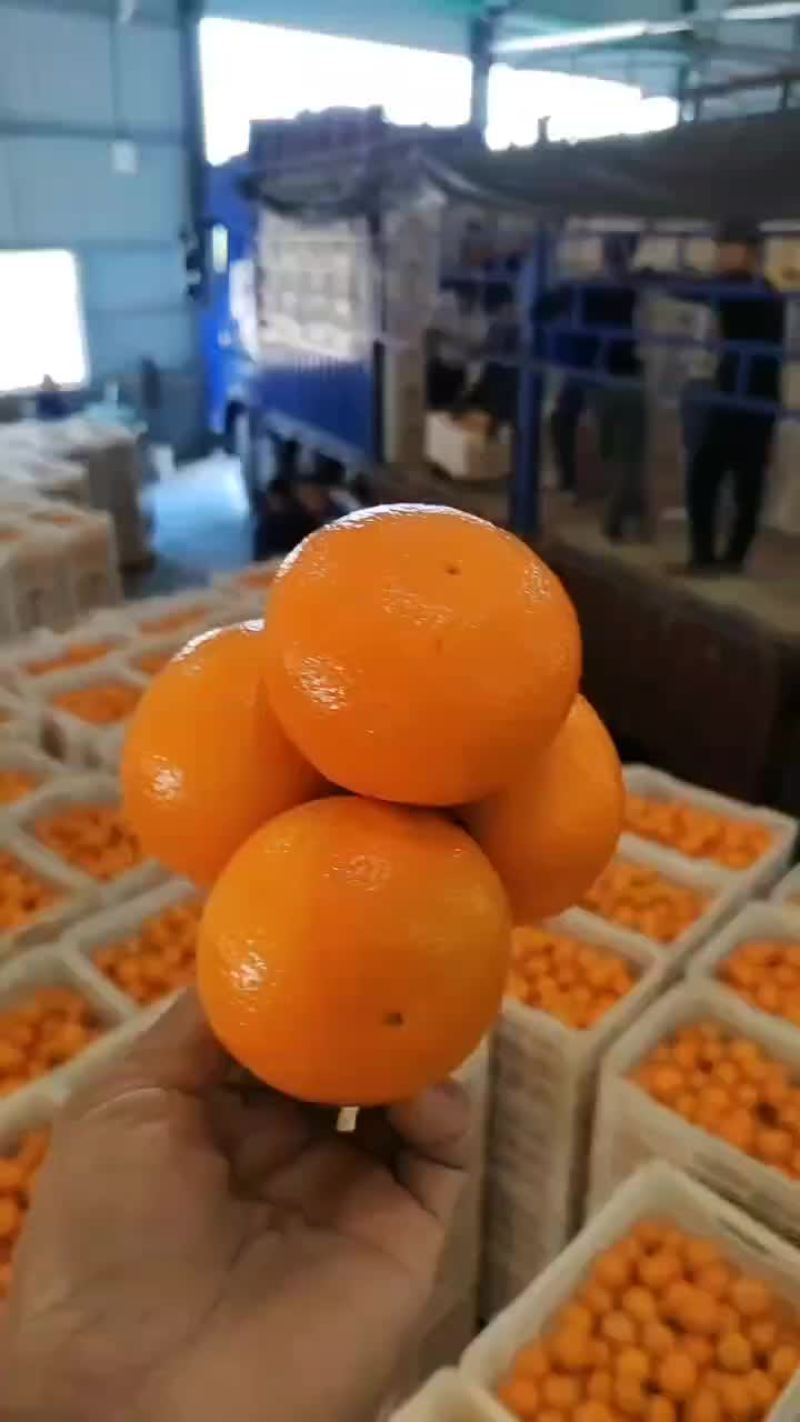 大量精品沃甘，紧张发货中，每个果都经过精挑细选