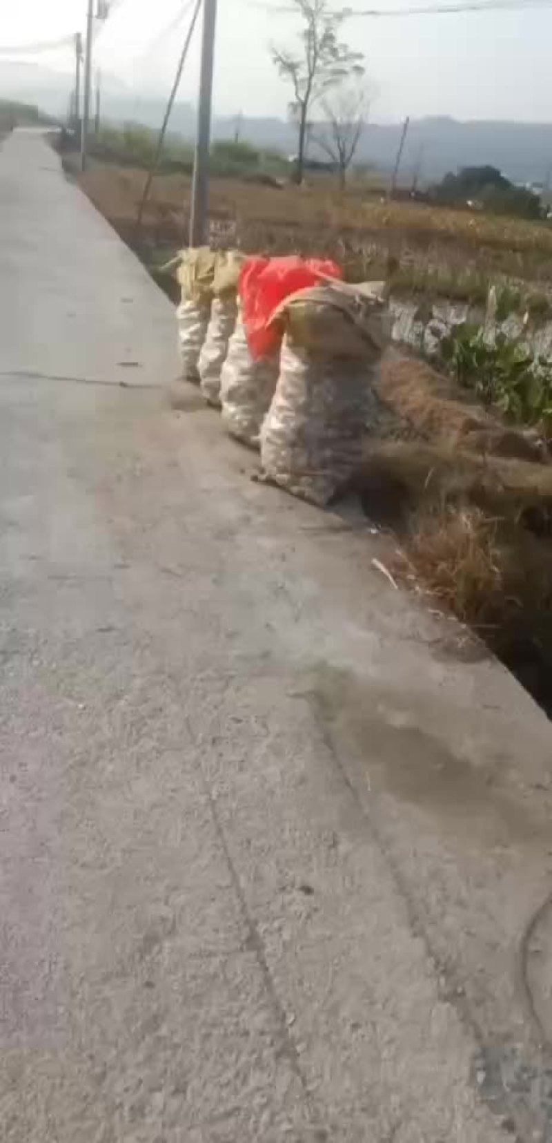大量上市，有量有价