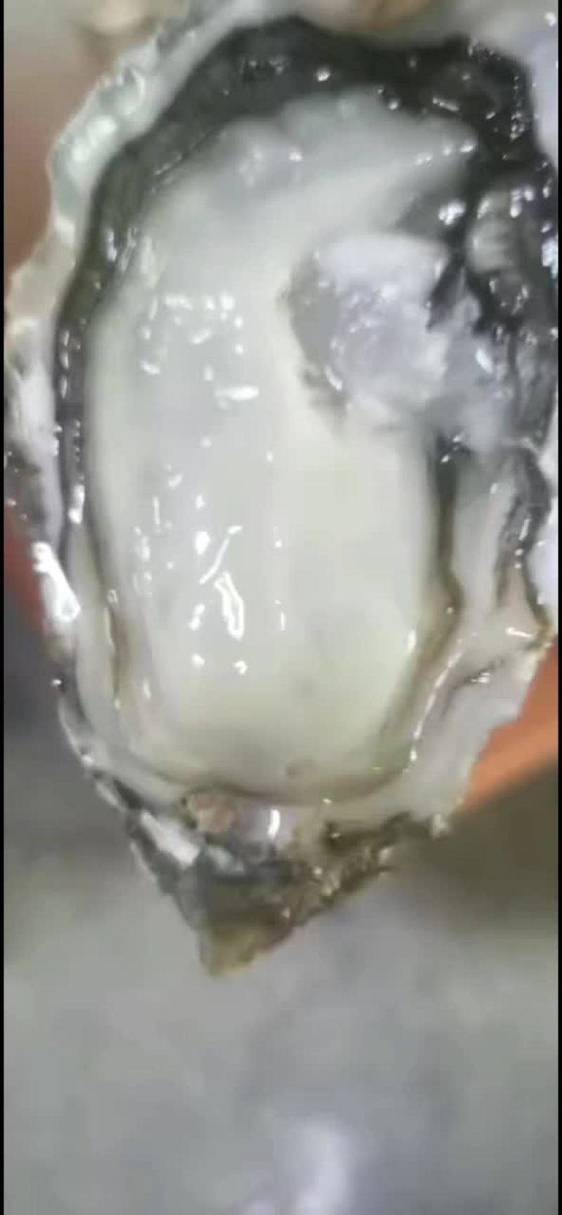自产自销正宗乳山生蚝