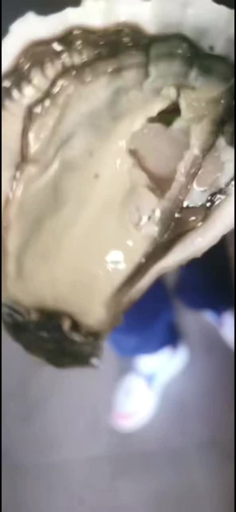自产自销正宗乳山生蚝
