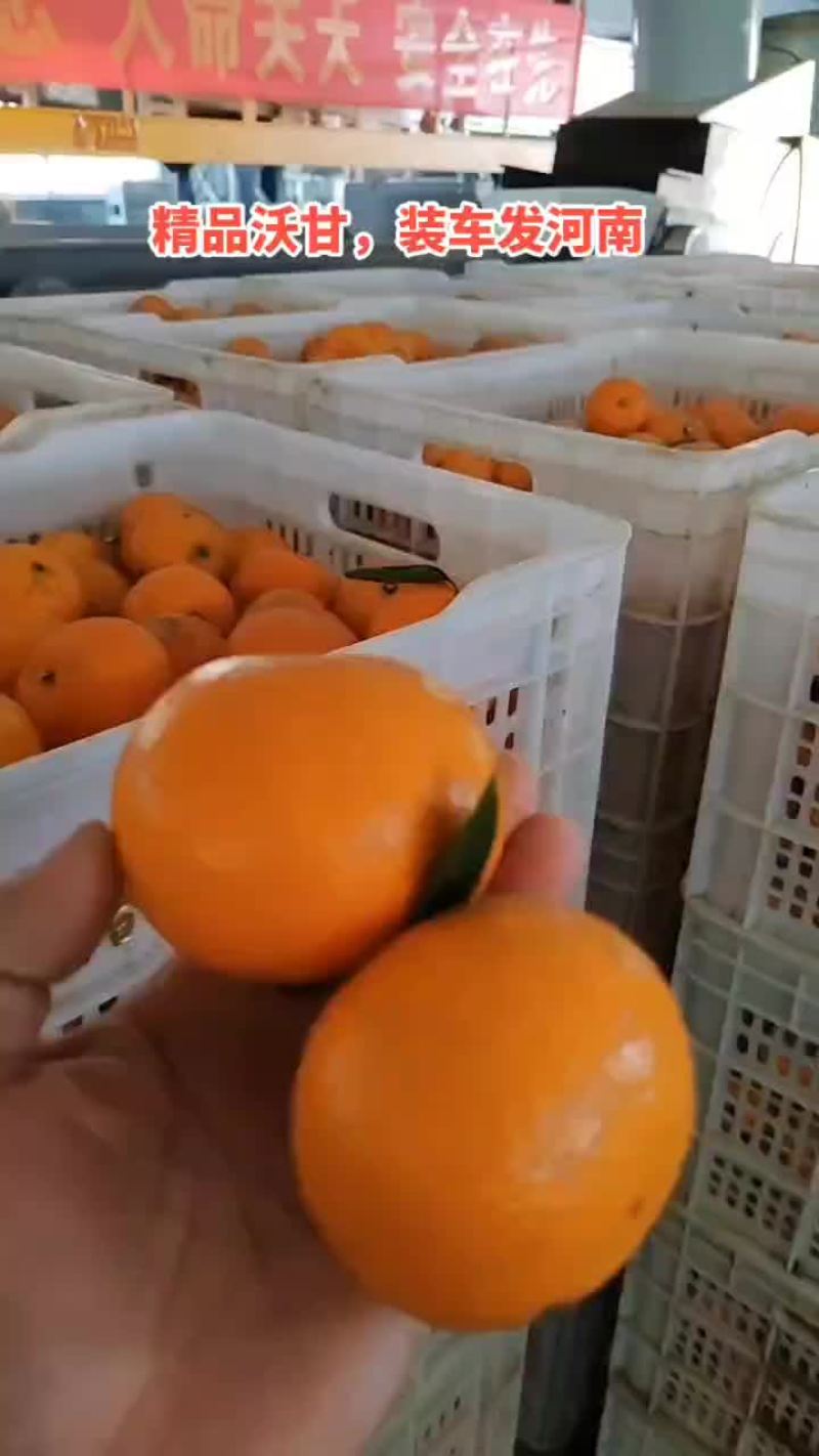 精品沃甘每天发车！货源充足，价格实惠