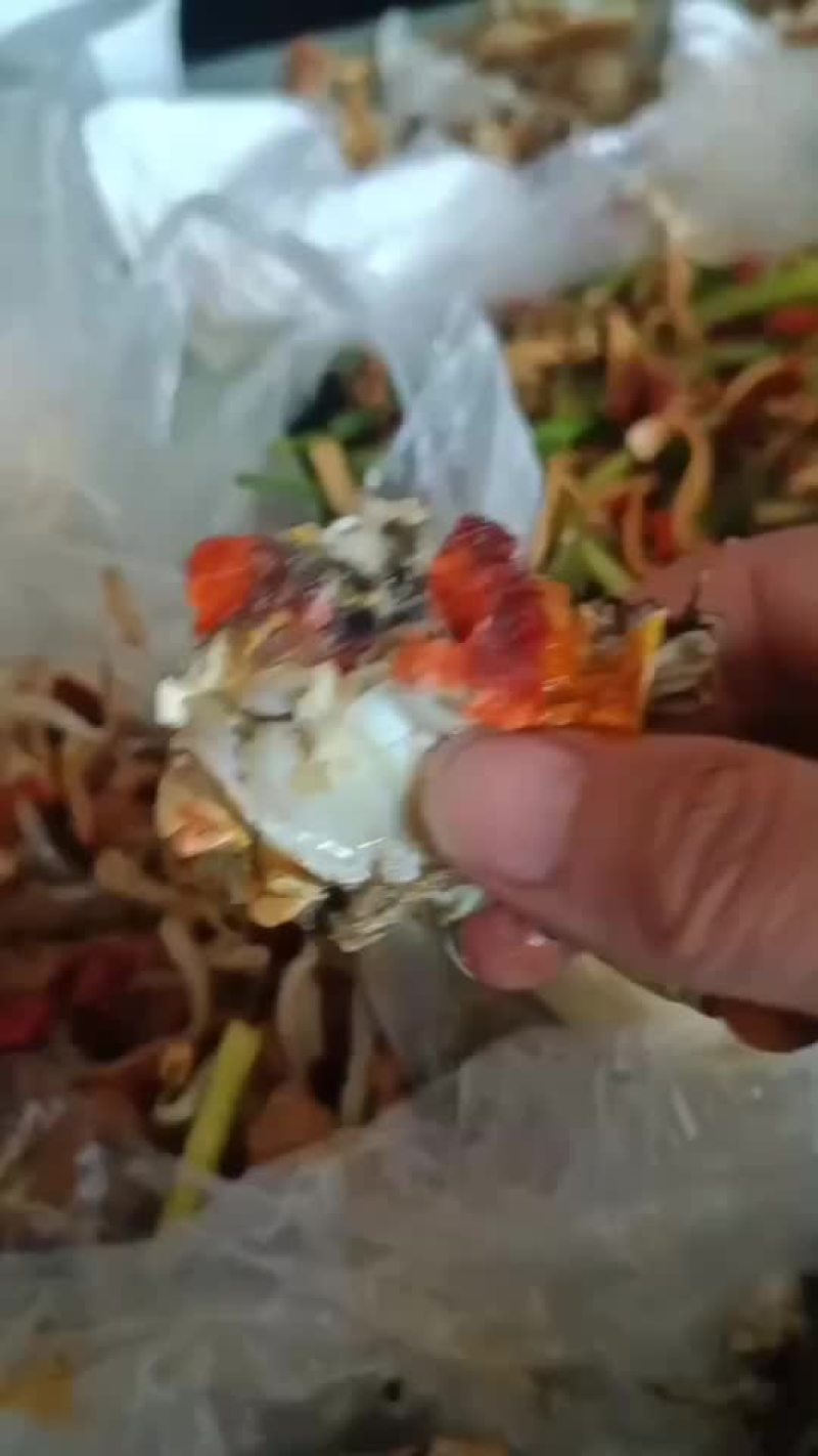正宗微山湖，兴化大闸蟹，肥美鲜嫩，超级好吃