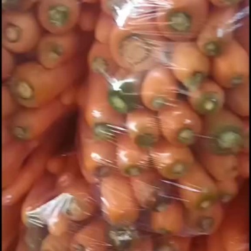 胡萝卜