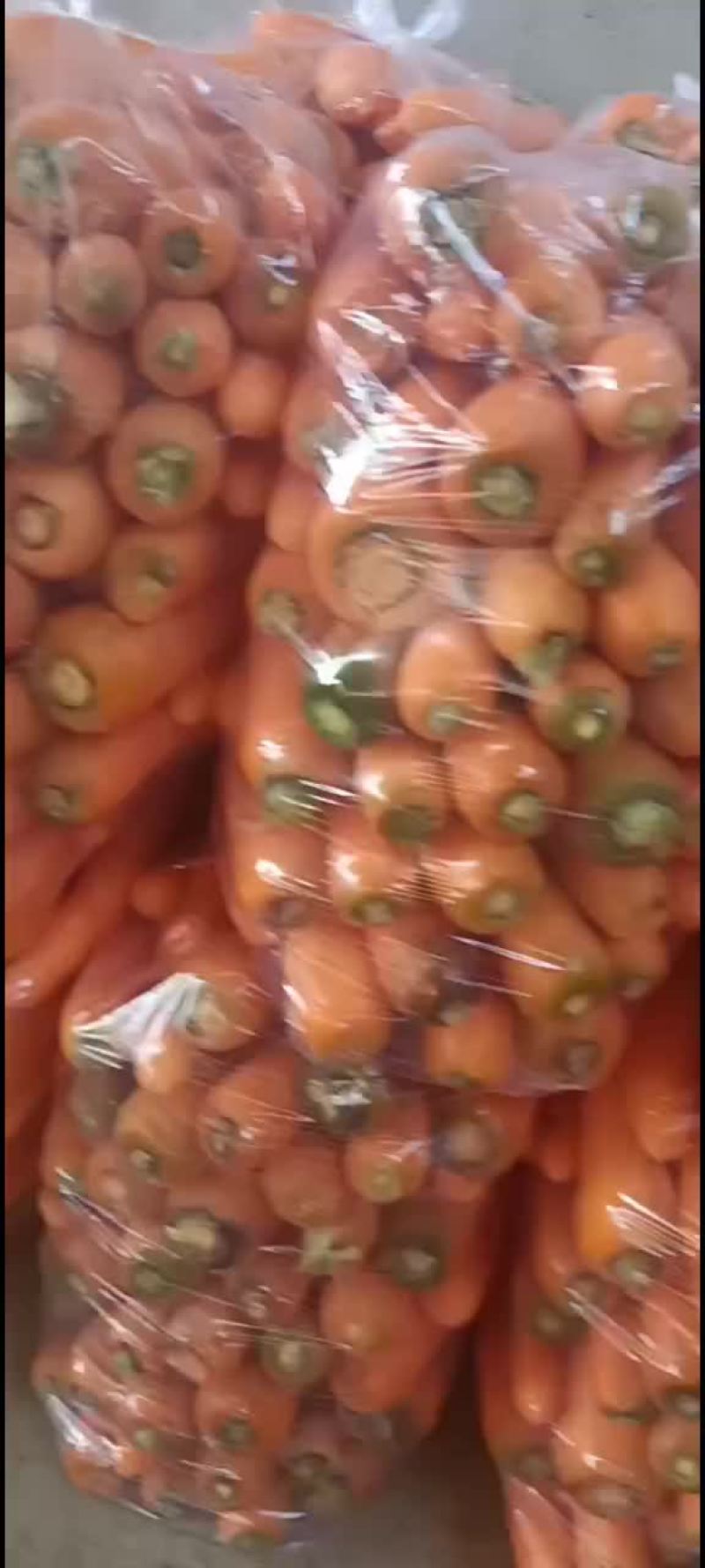 胡萝卜