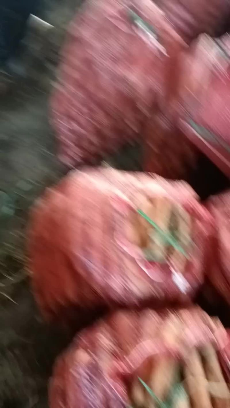 胡萝卜