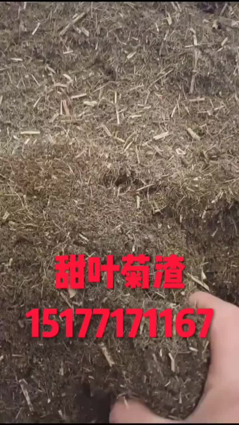 甜叶菊渣