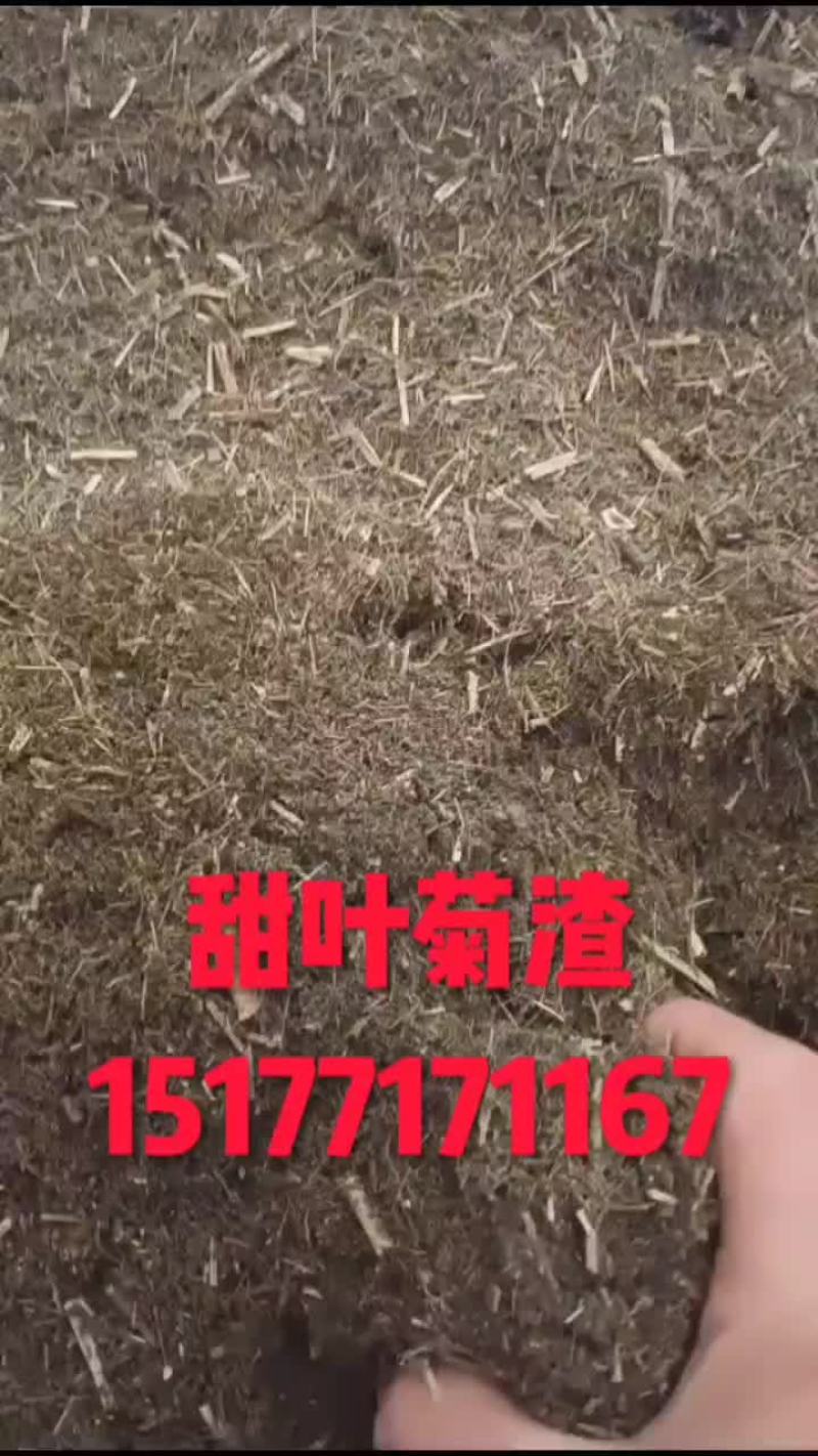 甜叶菊渣