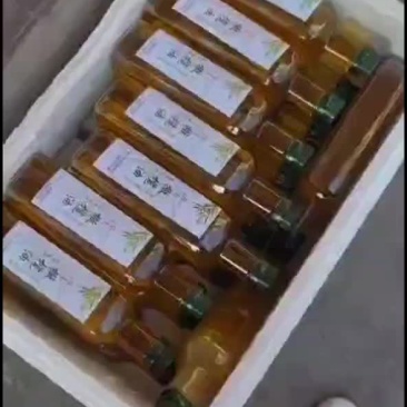 初榨特级橄榄油