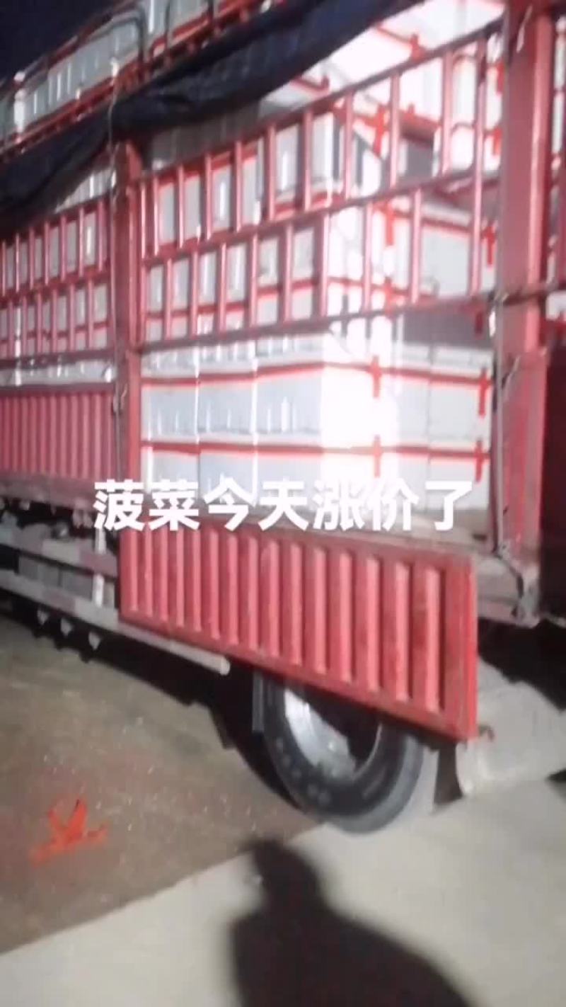 菠菜