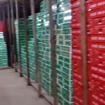 巨峰葡萄大量有货，价格就是便宜电商货团购货都有啊