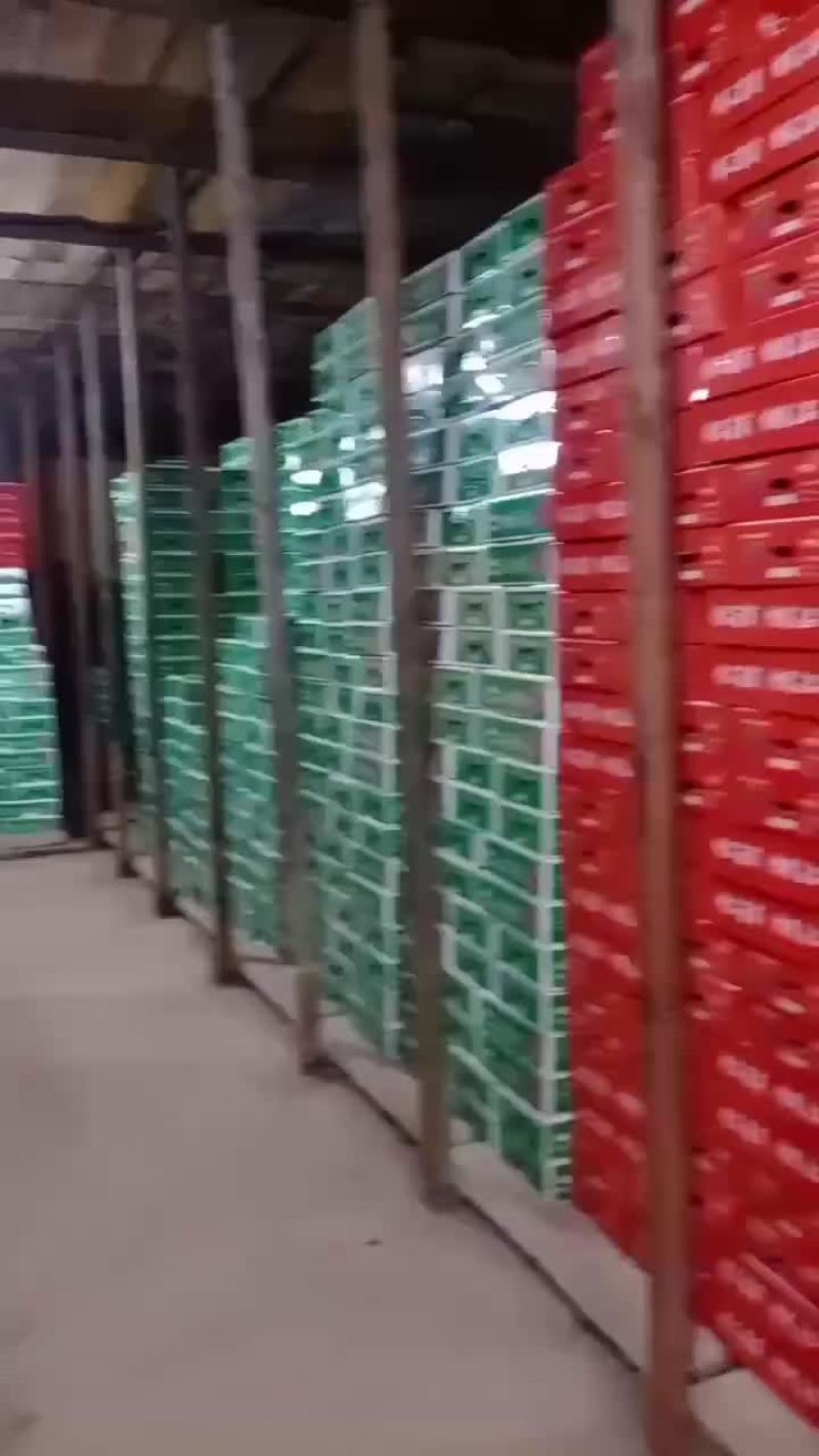 巨峰葡萄大量有货，价格就是便宜电商货团购货都有啊