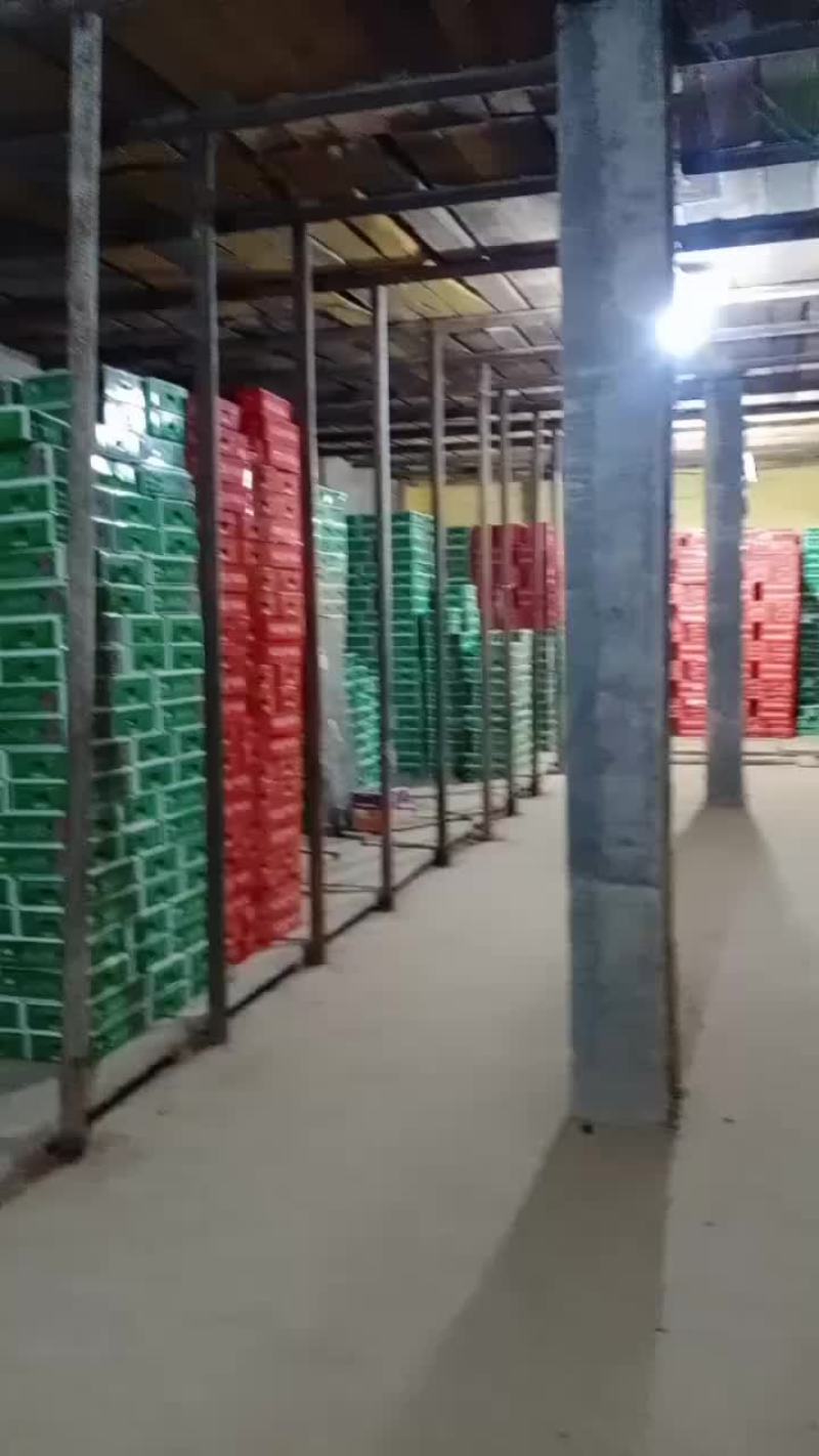 巨峰葡萄大量有货，价格就是便宜电商货团购货都有啊