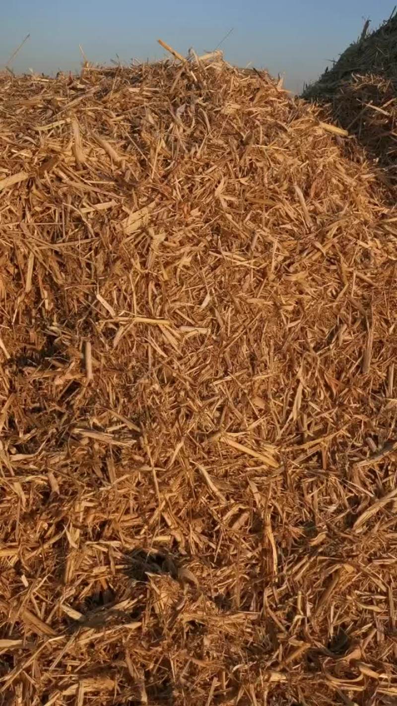 精品牛草