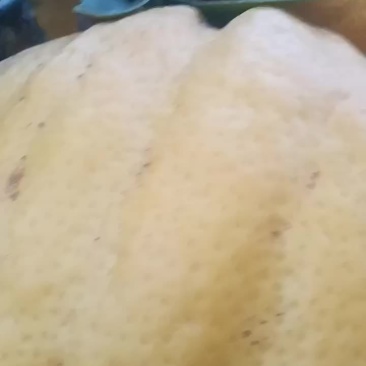 香橼果