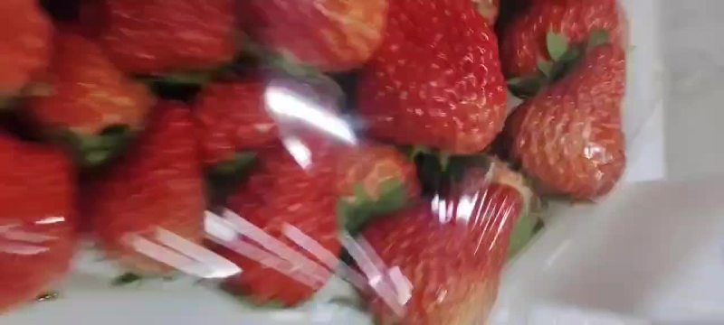 安徽长丰红颜草莓，