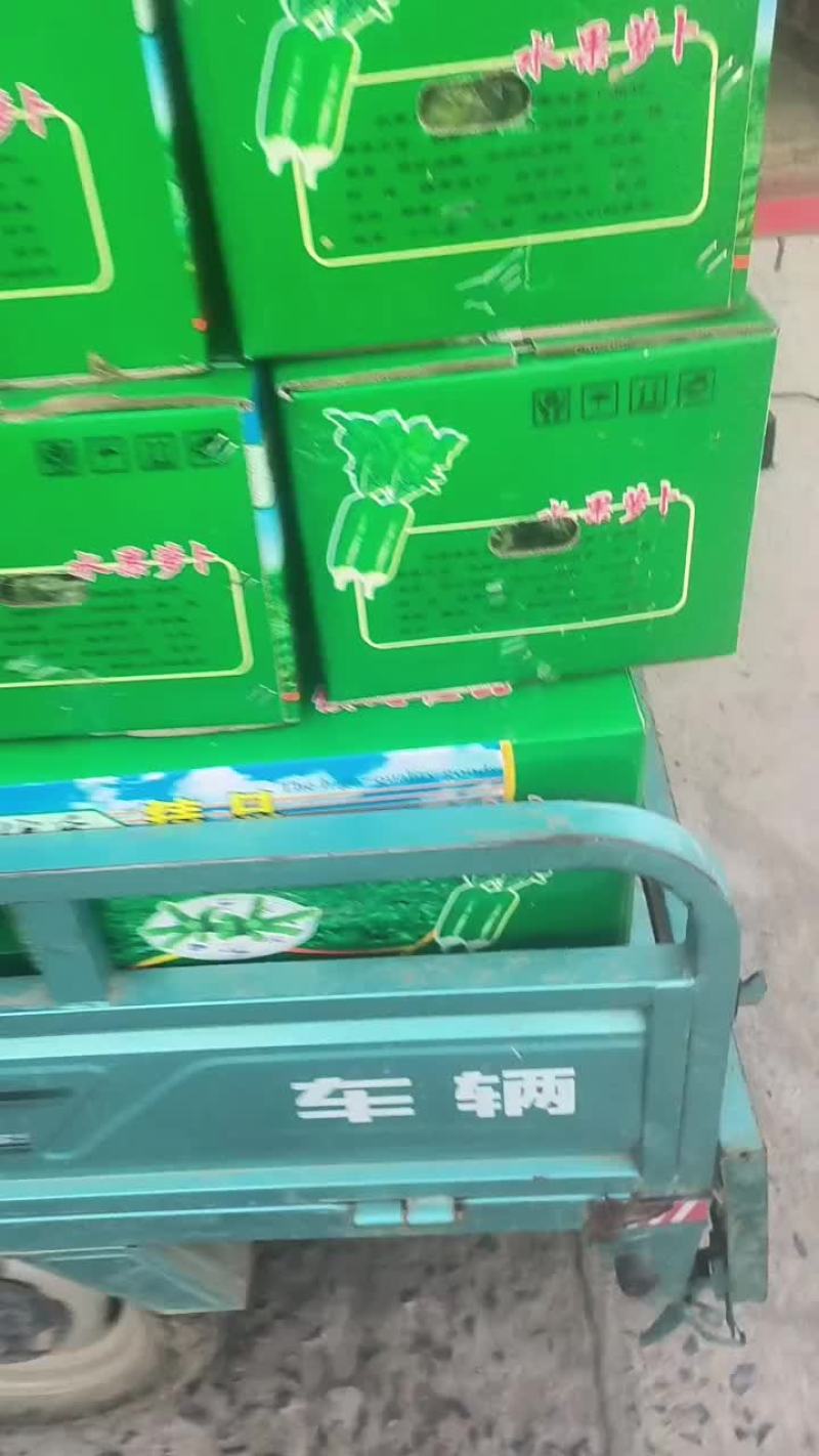 淮南水果萝卜。青萝卜