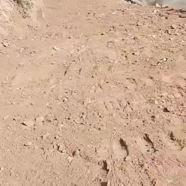 鲤鱼罗非鱼