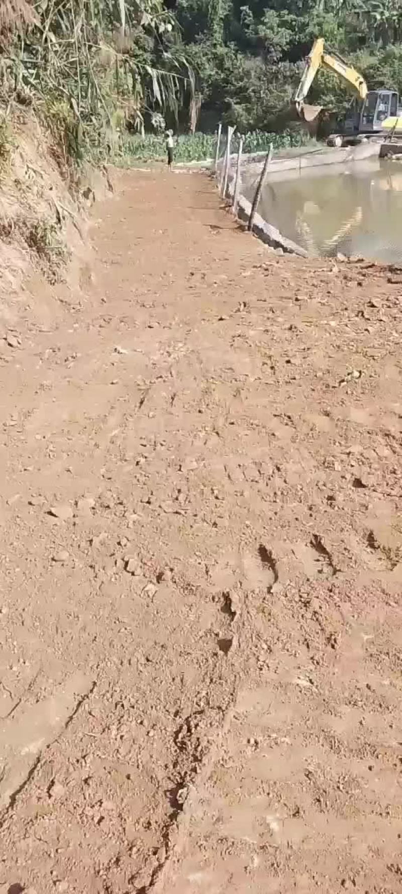 鲤鱼罗非鱼