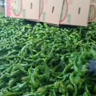 螺丝椒