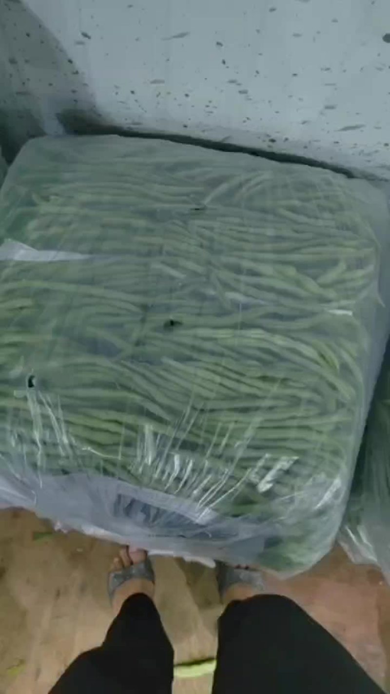 小金豆偏豆