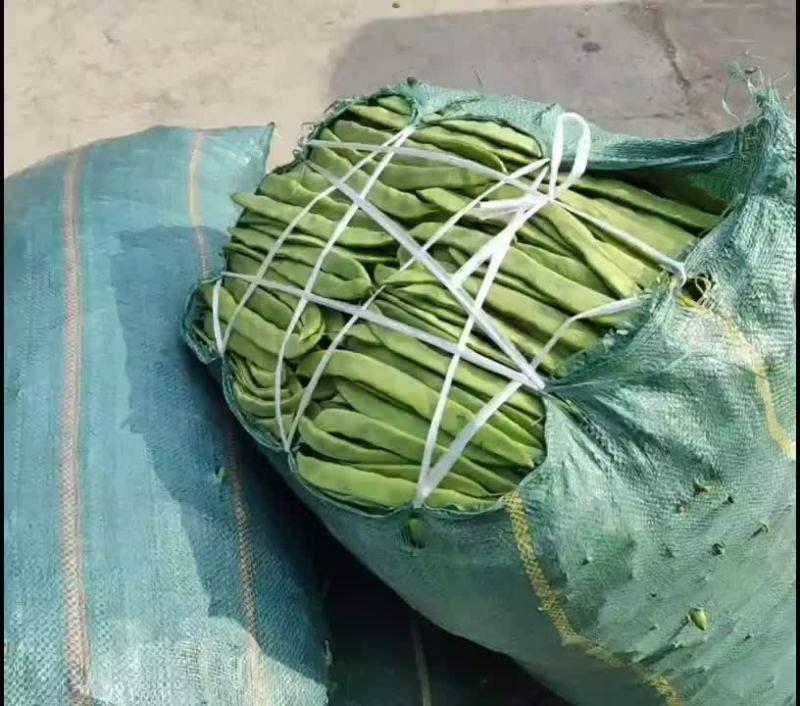 扁豆