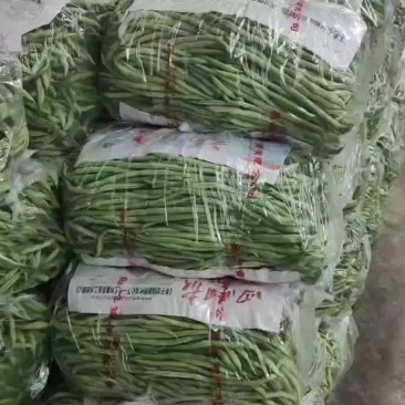 扁豆