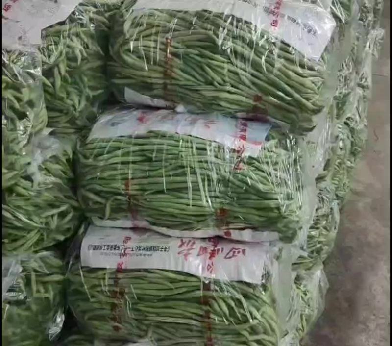 扁豆