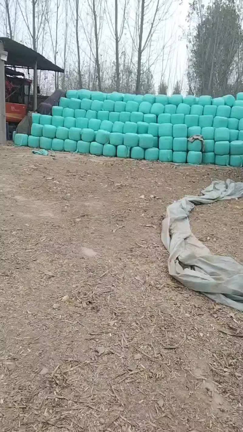 黄储圆包