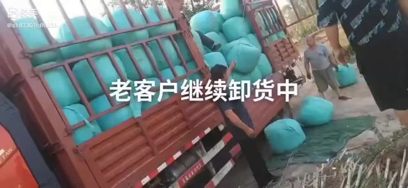 黄储圆包