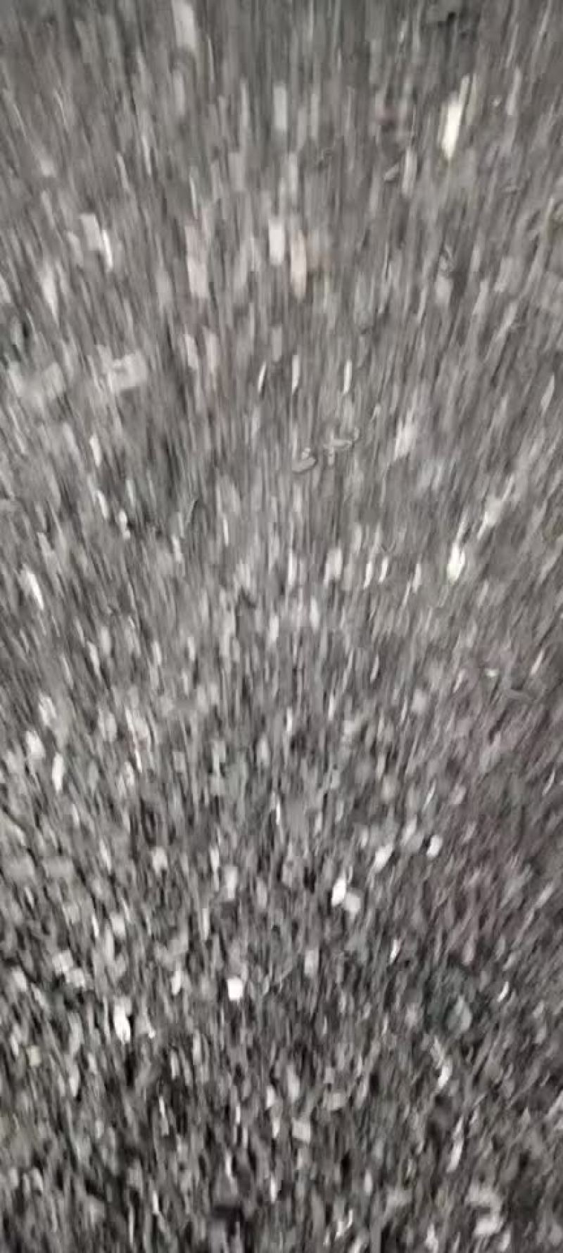 果木碳渣