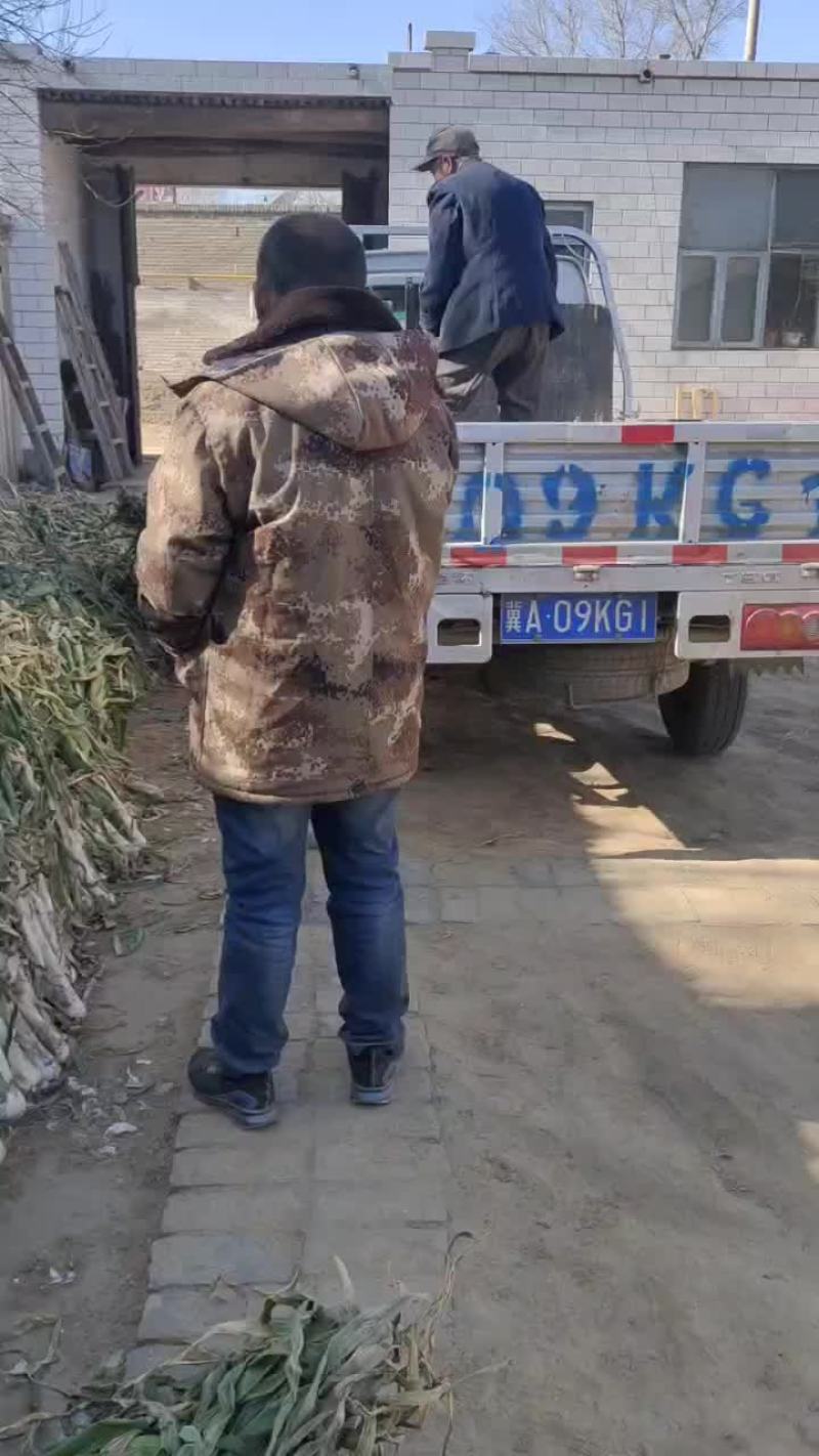 出售鸡腿葱高五十左右粗三个左右，口感好，味道浓