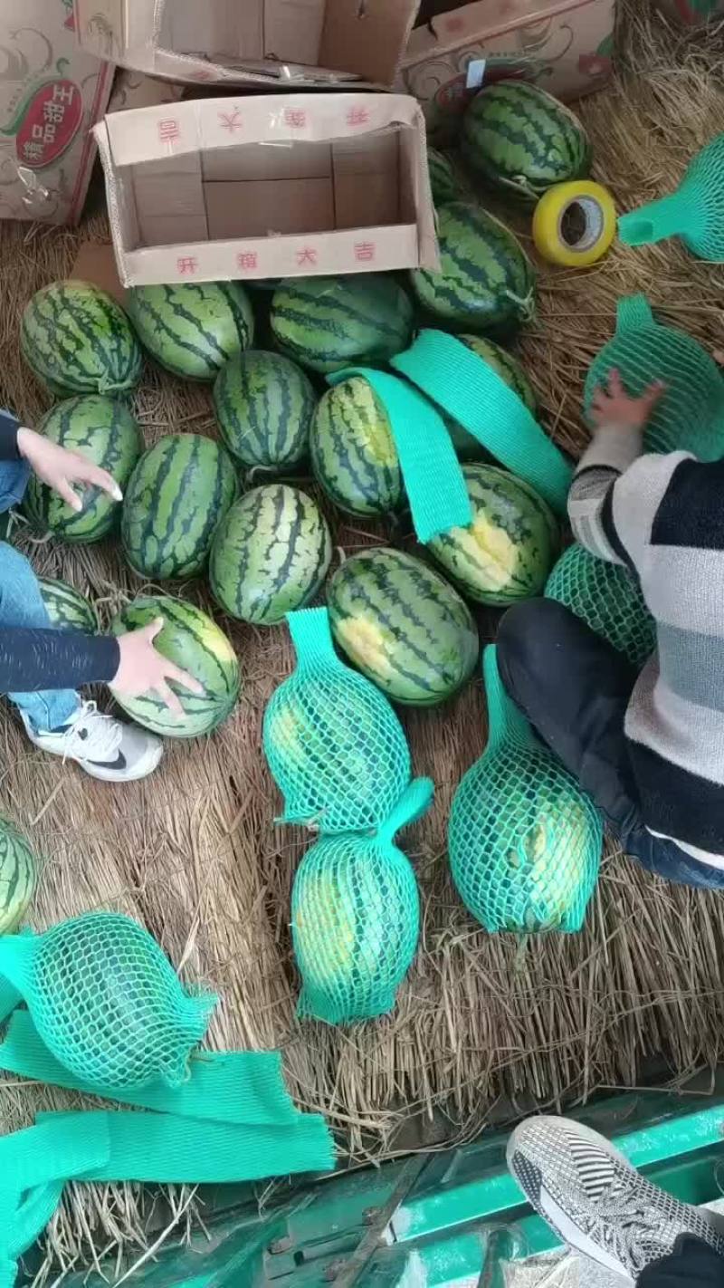 老挝甜王西瓜
