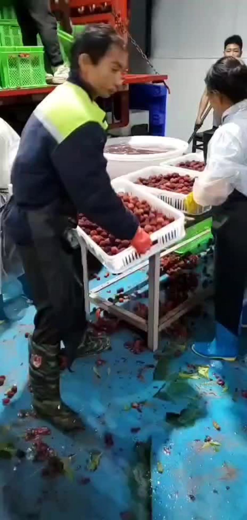 云南石屏杨梅，冷冻杨梅，，有无尘车间，今年新添水洗机。