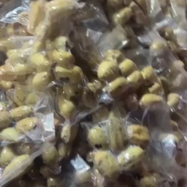 山西黄河滩精品真空藕头