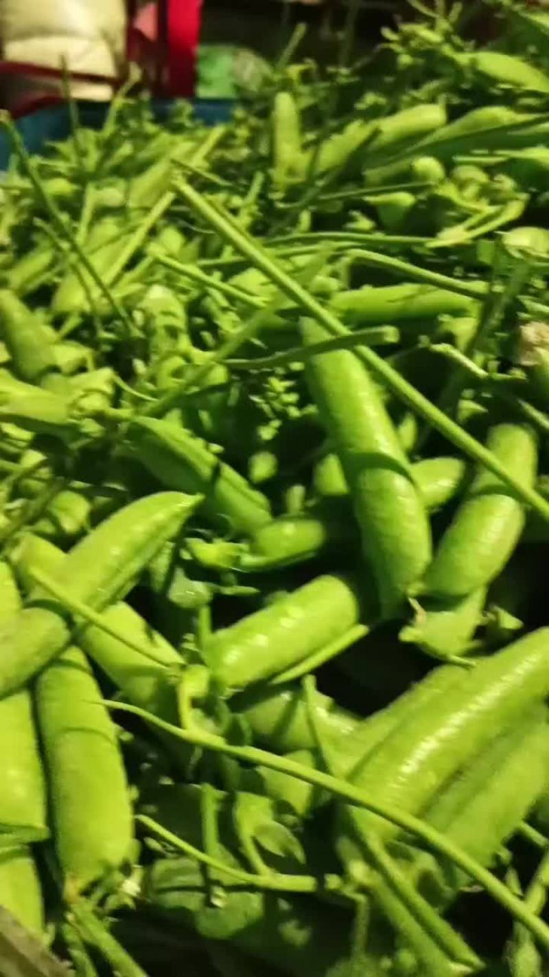 云南省红河石屏县长寿仁碗豆大量上市中