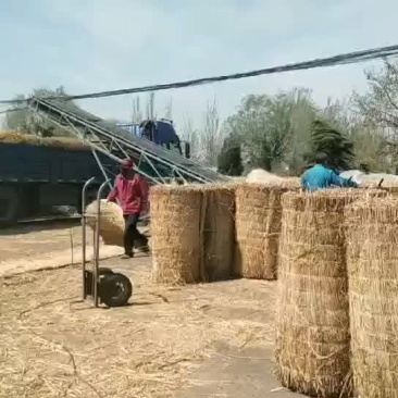 大棚保温耐寒草帘子