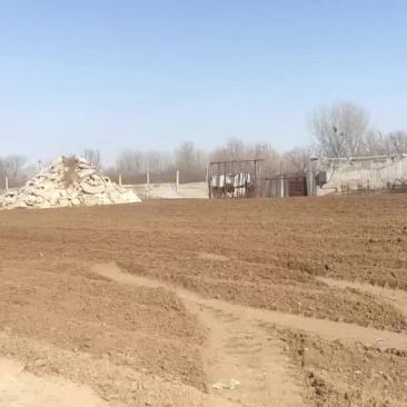 兔粪有机肥料出货中