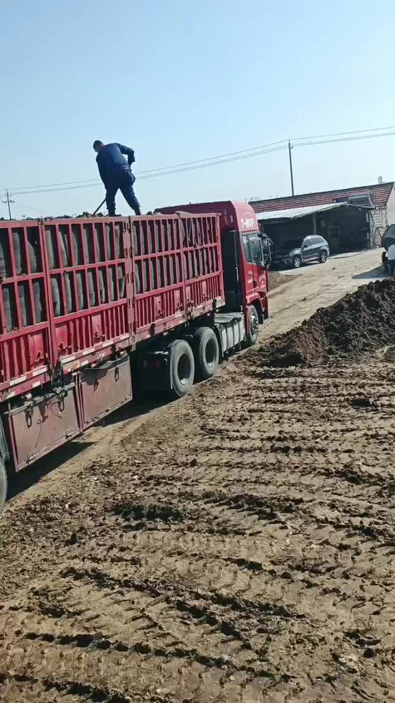兔粪有机肥料出货中