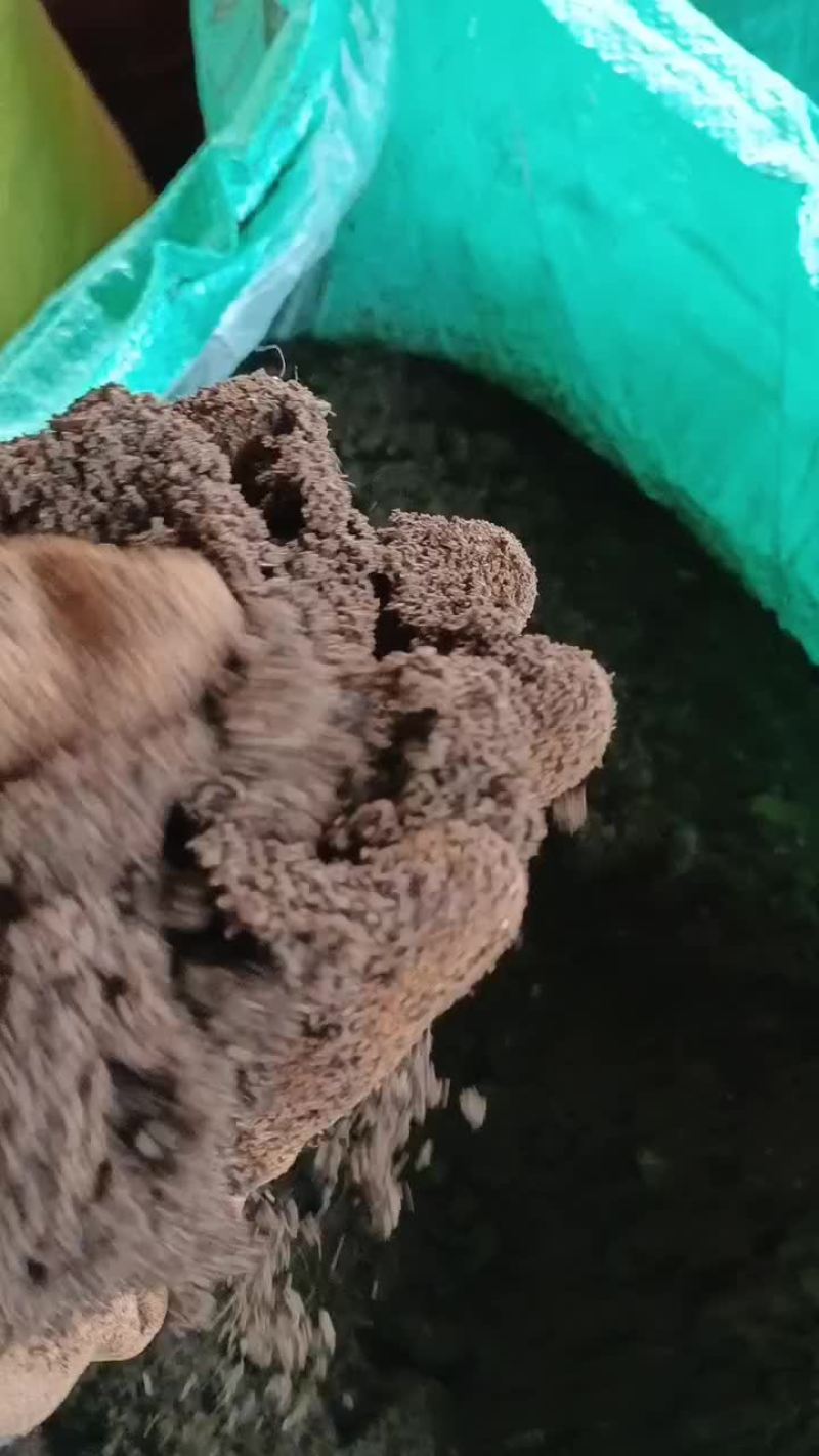 兔粪有机肥料出货中