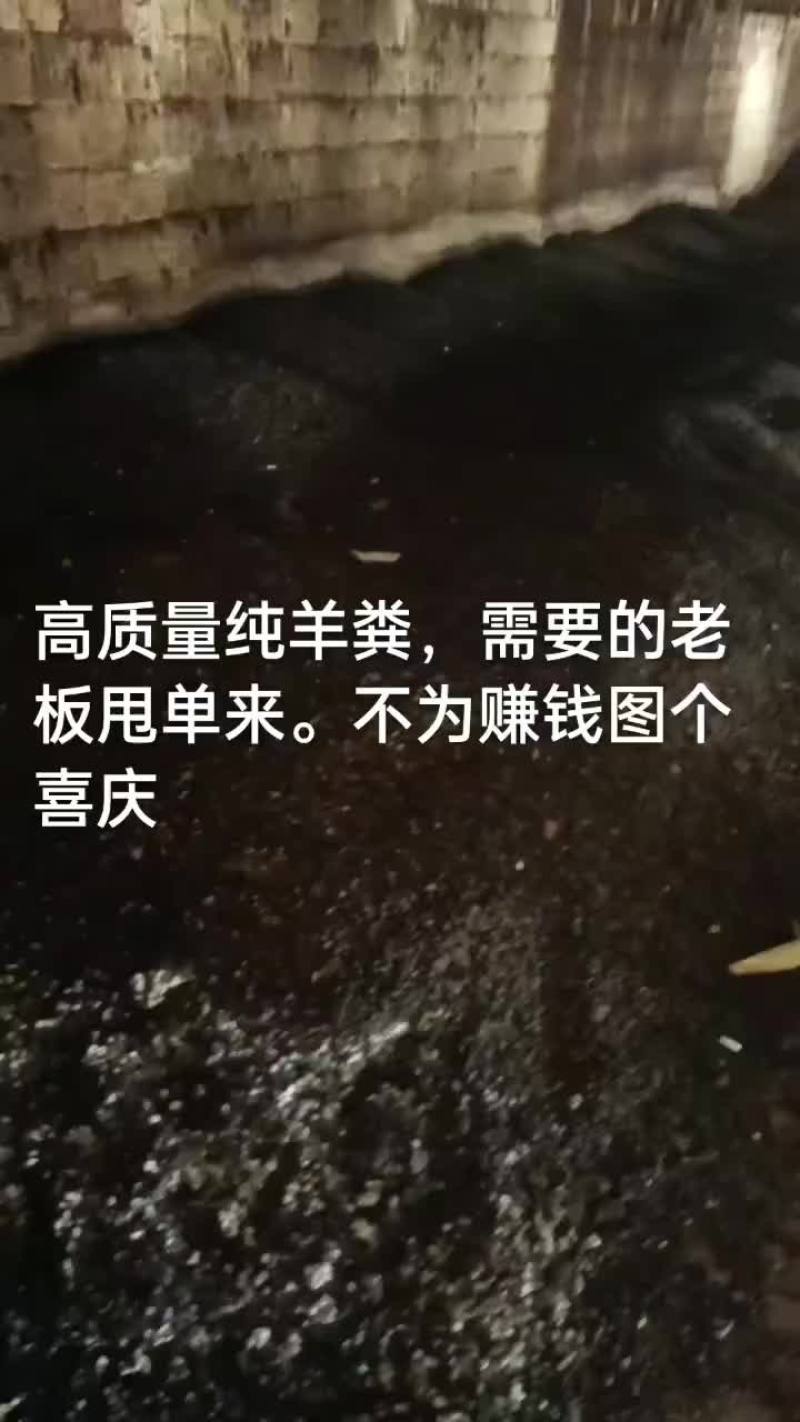 高质量有机纯羊粪蛋